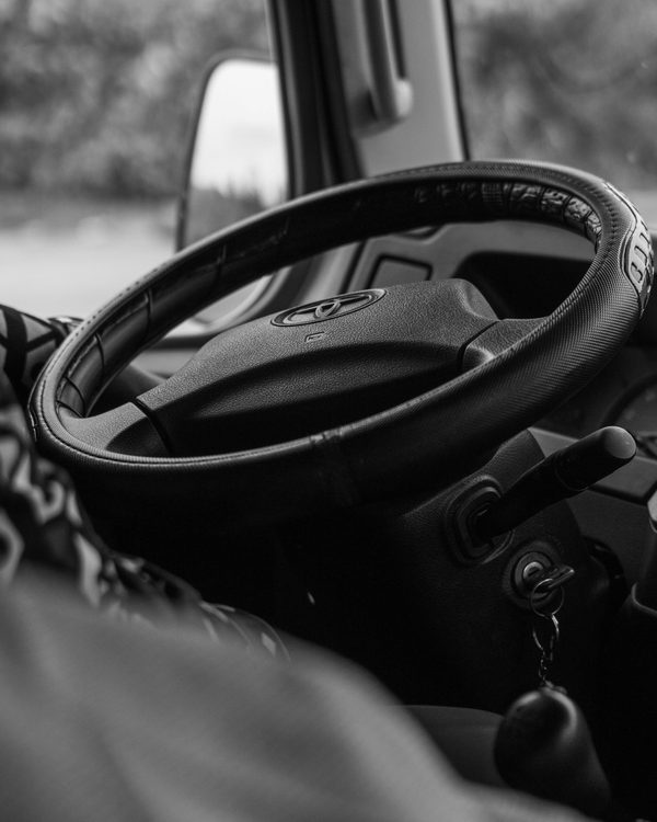 La housse voiture chien 4.7/5 étoiles : protection et confort